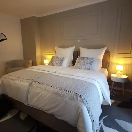 Saarzauber Apartments Ferienwohnung Sarrebruck Extérieur photo